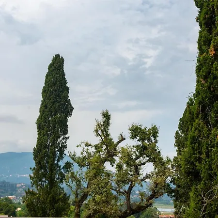 Stella's Apartment,kanoni Apartamento Análipsis